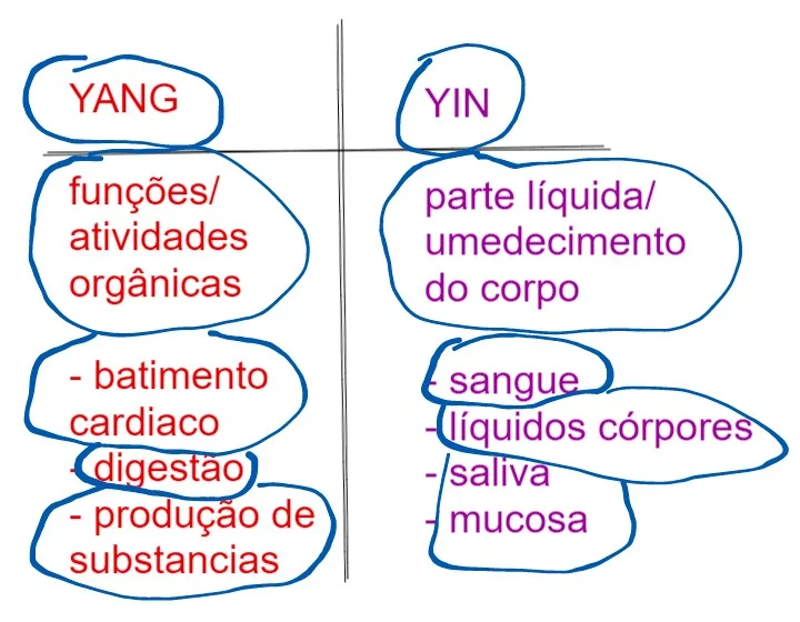 Classificação do Yin-Yang nas funções orgânicas