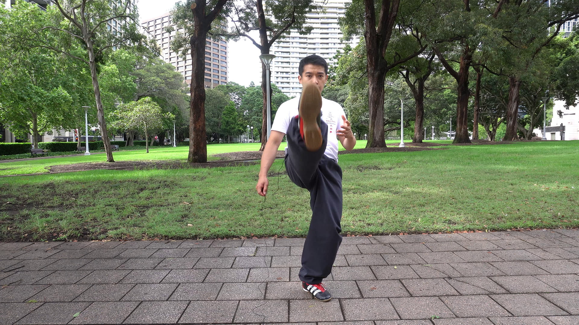 exercicio 5.1 - tai chi chuan