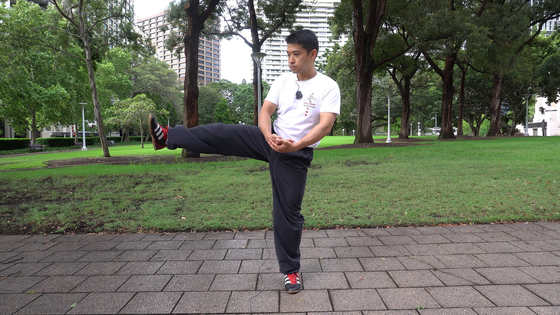 Tai Chi Chuan Para Iniciantes Um Guia Passo A Passo