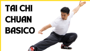 Posição clássica do tai chi chuan sentado em cima de uma perna enquanto a outra mantém esticada e os braços esticados alinhados com a perna.