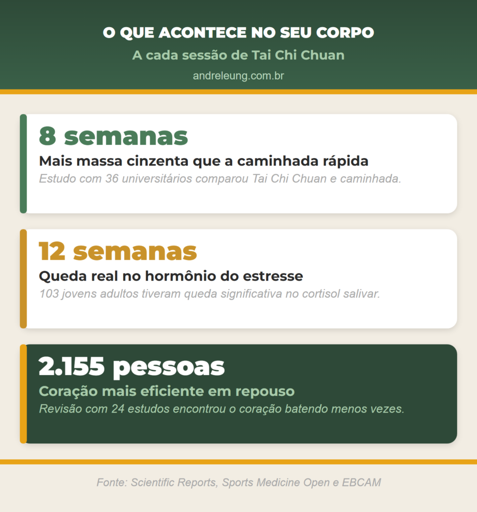 Infográfico com 3 dados científicos sobre o Tai Chi Chuan: mais massa cinzenta cerebral em 8 semanas, queda do cortisol em 12 semanas e coração mais eficiente em repouso