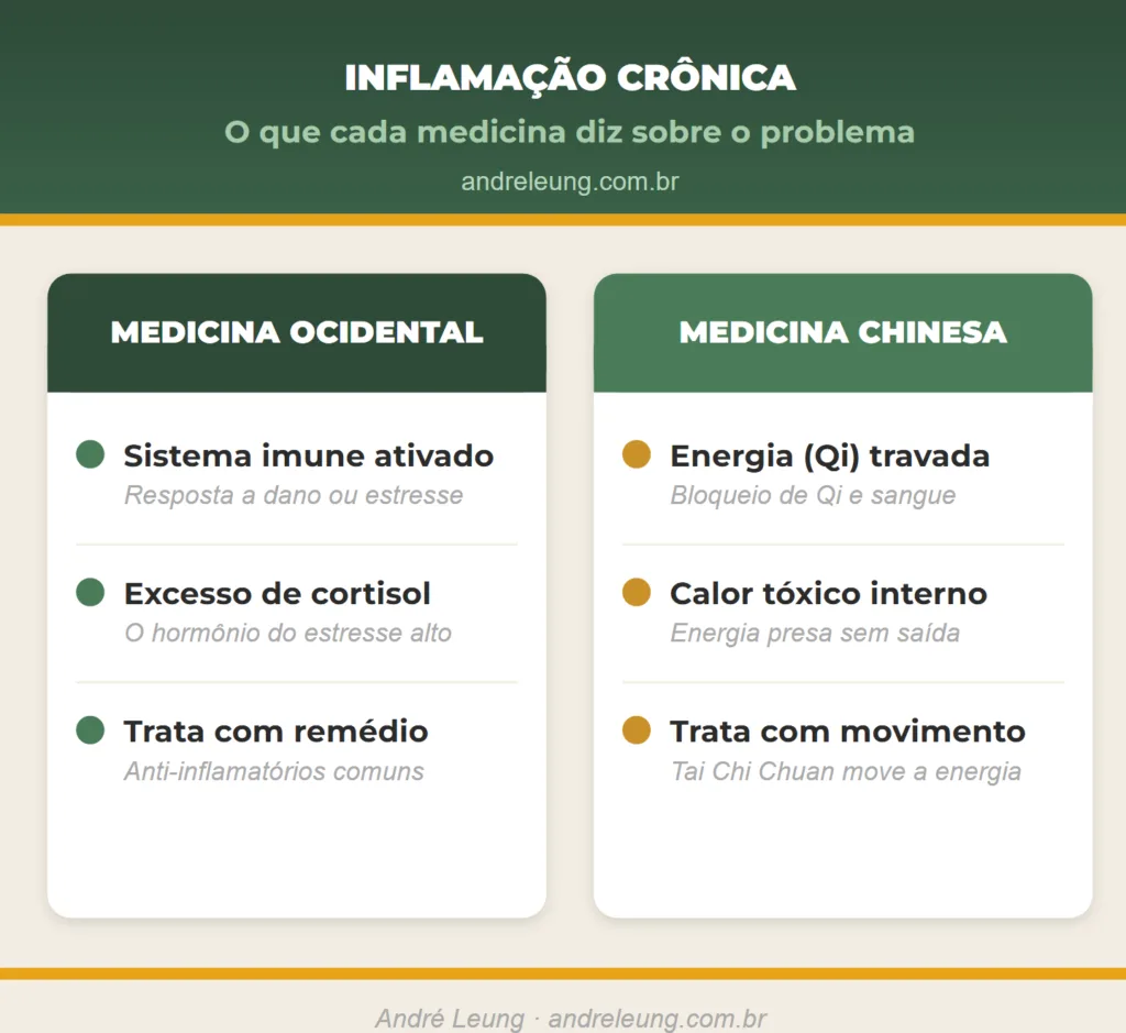 Comparação entre a Medicina Ocidental e a Medicina Chinesa sobre a inflamação crônica: sistema imune e cortisol de um lado, energia (Qi) travada e calor tóxico do outro, com o Tai Chi Chuan como caminho de tratamento pelo movimento, segundo André Leung