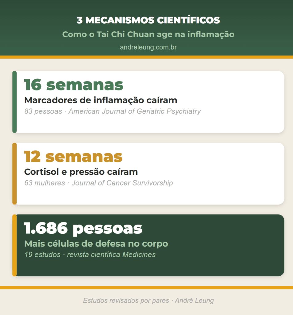 Três estudos científicos mostram o efeito do Tai Chi Chuan na inflamação: marcadores inflamatórios caíram em 83 pessoas após 16 semanas, cortisol e pressão caíram em 63 mulheres após 12 semanas, e as células de defesa aumentaram em 1.686 pessoas, segundo André Leung