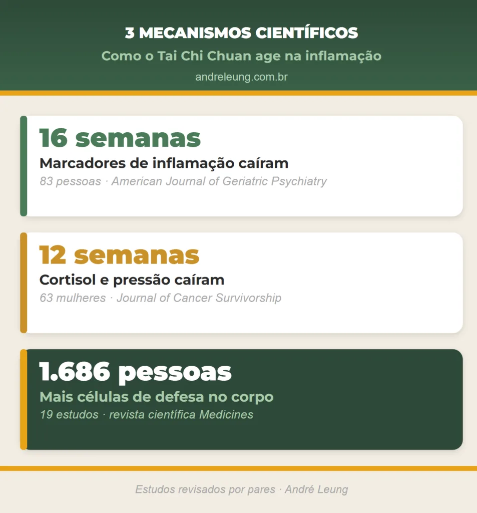 Três estudos científicos mostram o efeito do Tai Chi Chuan na inflamação: marcadores inflamatórios caíram em 83 pessoas após 16 semanas, cortisol e pressão caíram em 63 mulheres após 12 semanas, e as células de defesa aumentaram em 1.686 pessoas, segundo André Leung